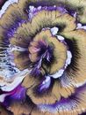 Purple and Brown Flower Painting