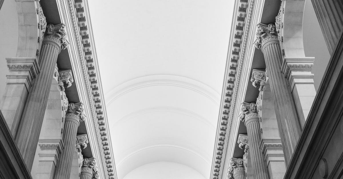 響應2025國際博物館日!科博館及三園區5/18免費入館大公開