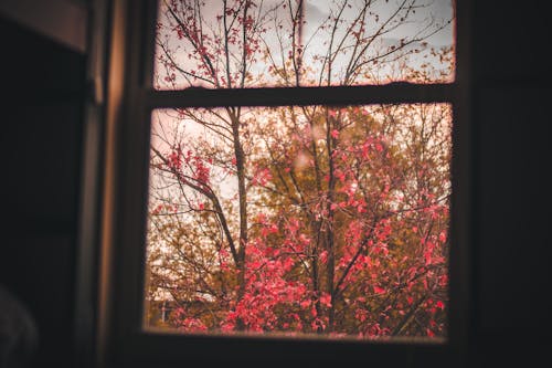 Free stock photo of autumn, autumn mood, bedroom