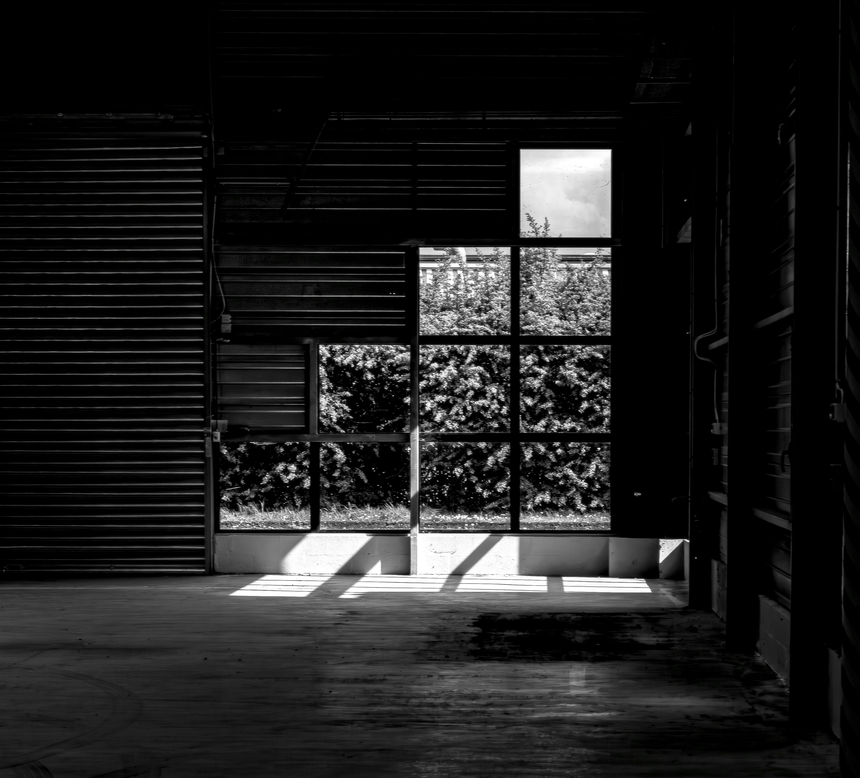 Moody Black and White Interior with Outdoor View · Free Stock Photo