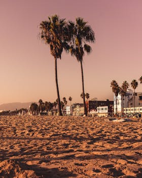 在日落时分，宁静的海滩上点缀着棕榈树和建筑物，景色令人叹为观止