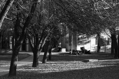 Free Black and white photo of a tranquil university campus in fall, Córdoba, Argentina, with graffiti. Stock Photo