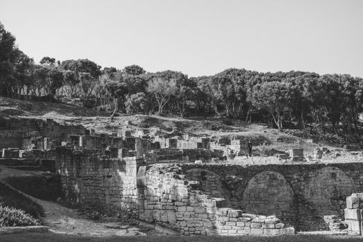 Volubilis Roman ruins day — Fez