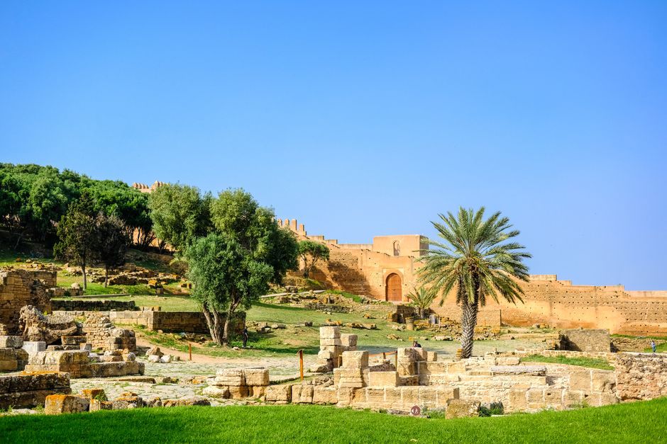 Explore the ancient ruins of Chellah with lush greenery in Rabat, Morocco.