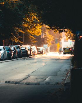 Serene autumn street scene in Niš, Serbia with cars and golden foliage in warm light.