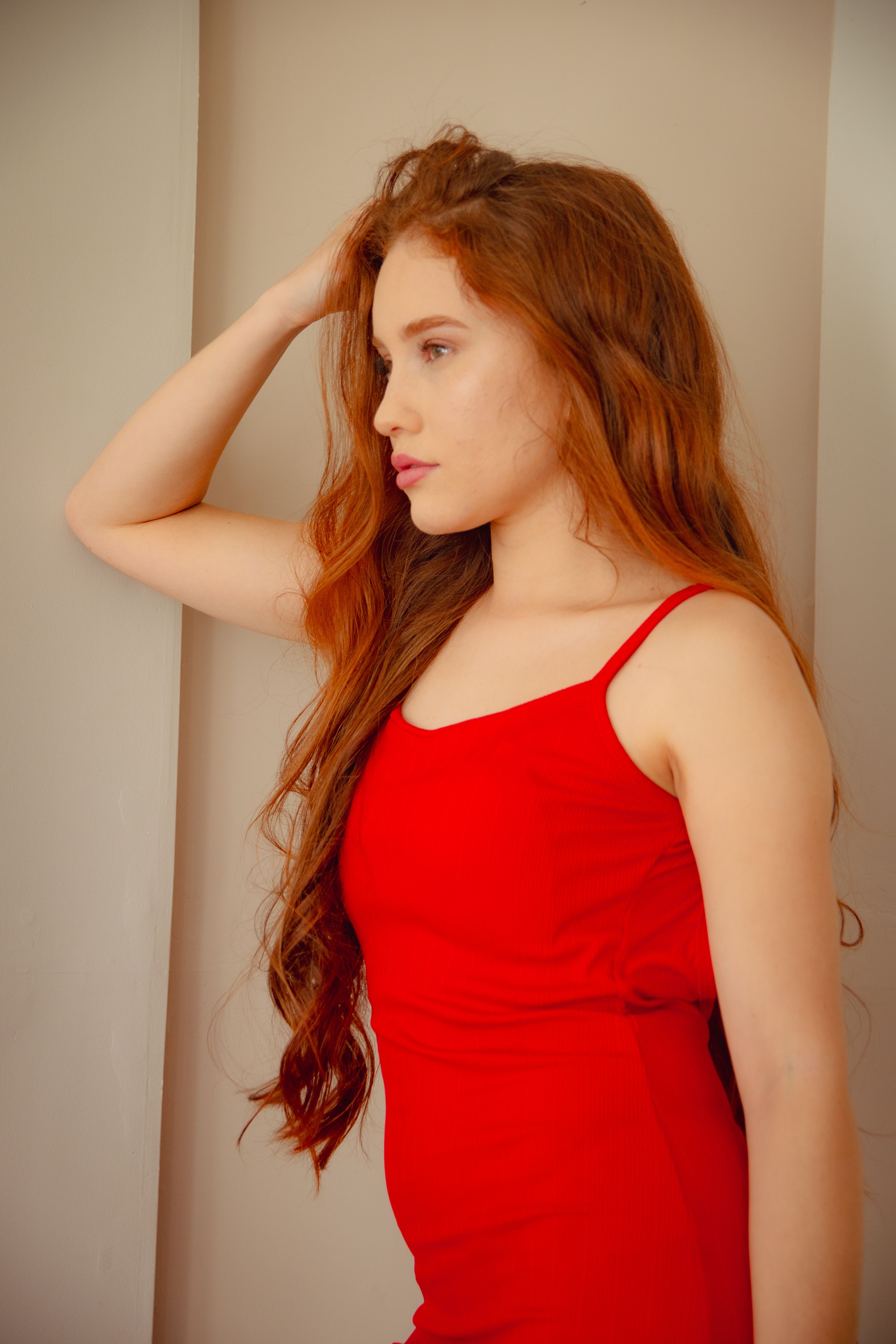 Portrait of a Woman in Red Dress with Long Hair  Free Stock Photo
