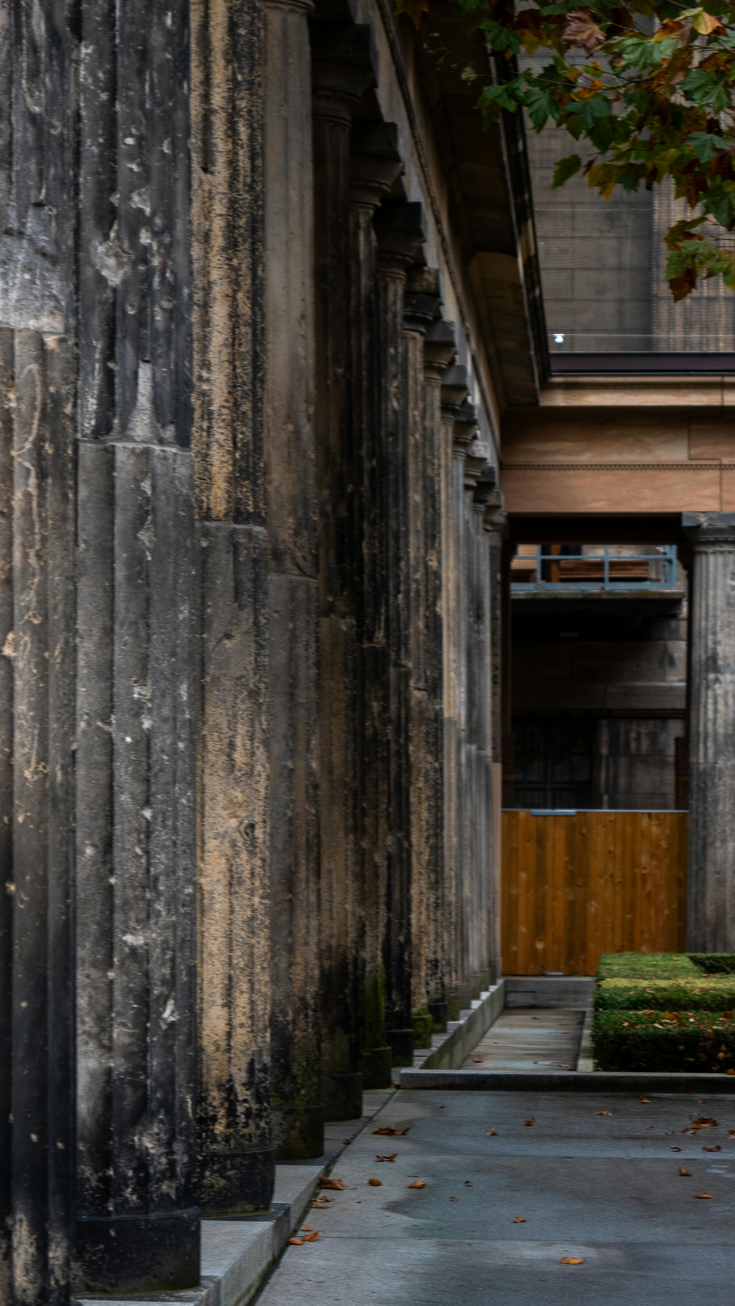 A row of classical stone columns with autumn leaves overhead, creating a historical ambiance.