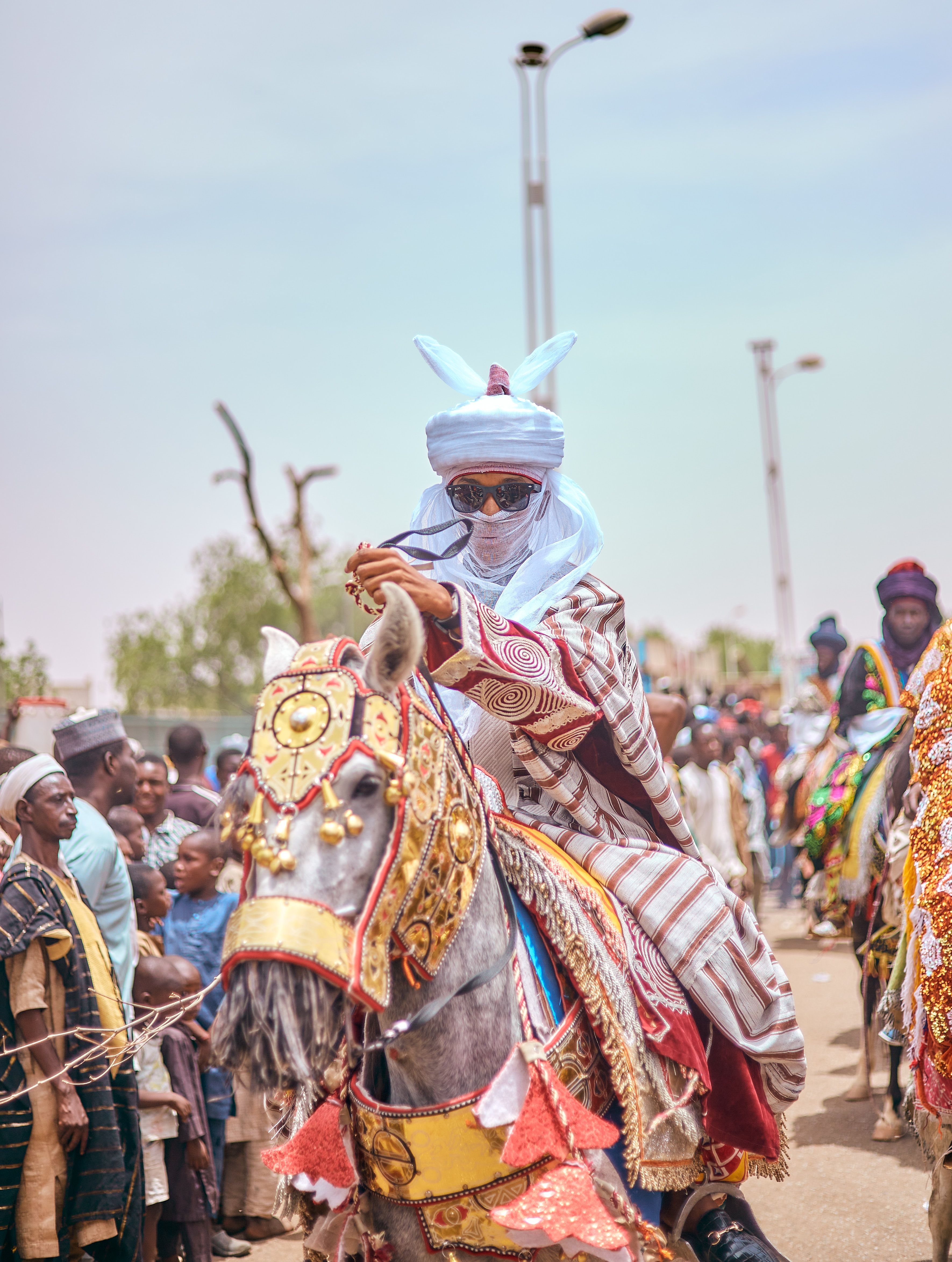 Traditional Horse Rider in Colorful Parade · Free Stock Photo