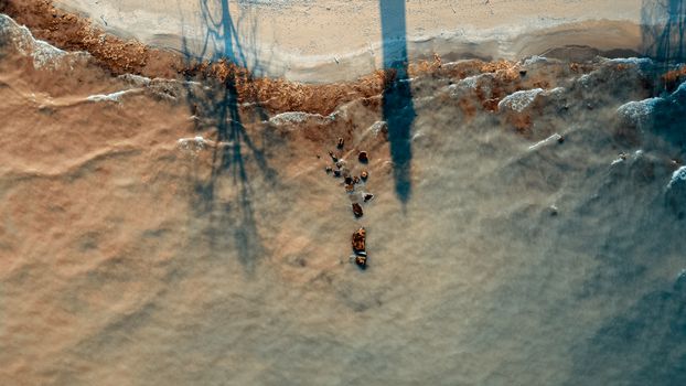 A stunning aerial view of a sandy beach with ocean waves and shadow patterns, creating a serene coastal scene.