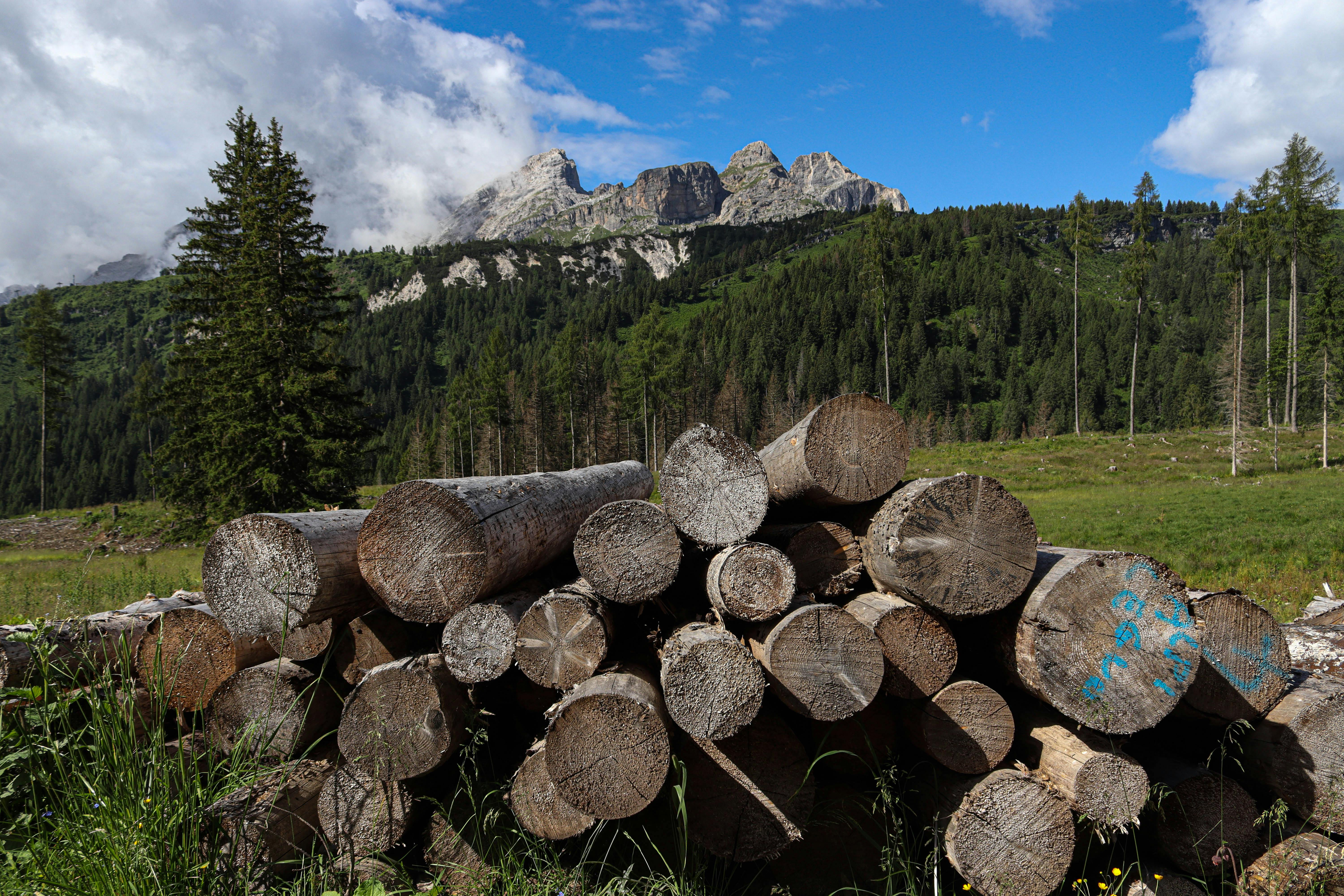 ## Monitoring and Logging