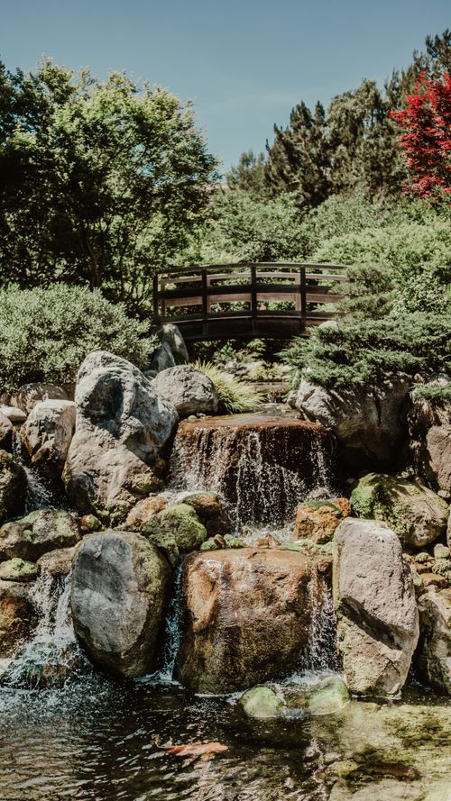 Free Serene garden featuring a tranquil waterfall and a traditional Japanese bridge. Stock Photo