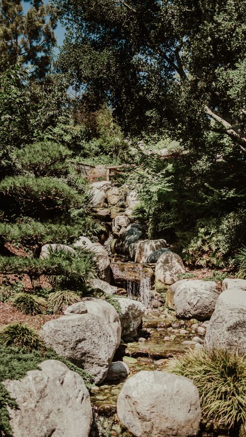 Free Peaceful garden scene with rocks and greenery surrounding a gentle stream in San Diego, California. Stock Photo