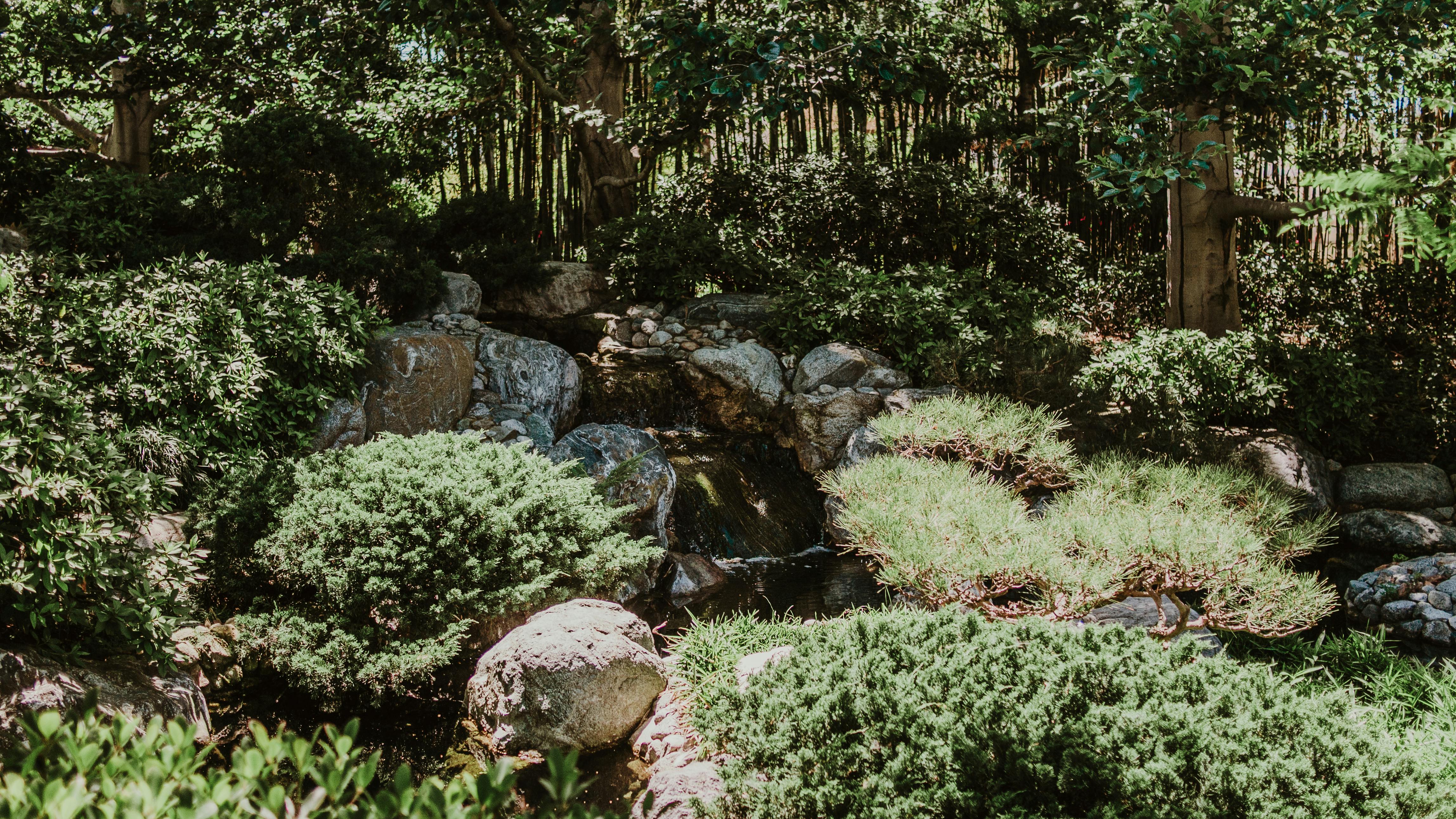 A Landscape Designer’s Favorite Gardening Tools — Photo by Candelario Benítez on Pexels