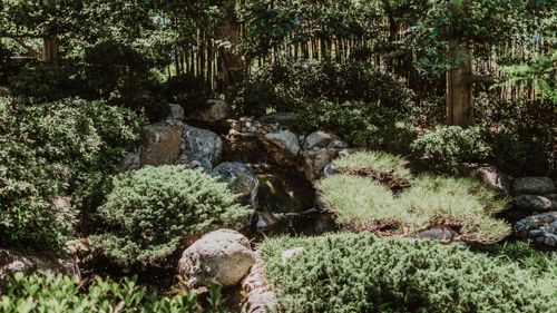 Free A serene Japanese garden with lush greenery and a small waterfall in San Diego. Stock Photo