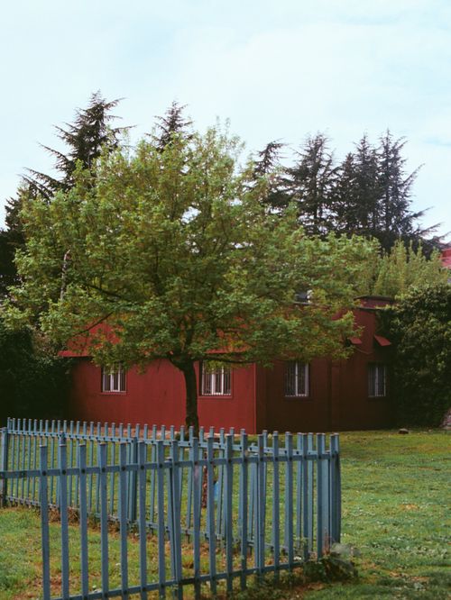 Free Charming red cabin with a tree at the forefront, set in a serene outdoor setting. Stock Photo
