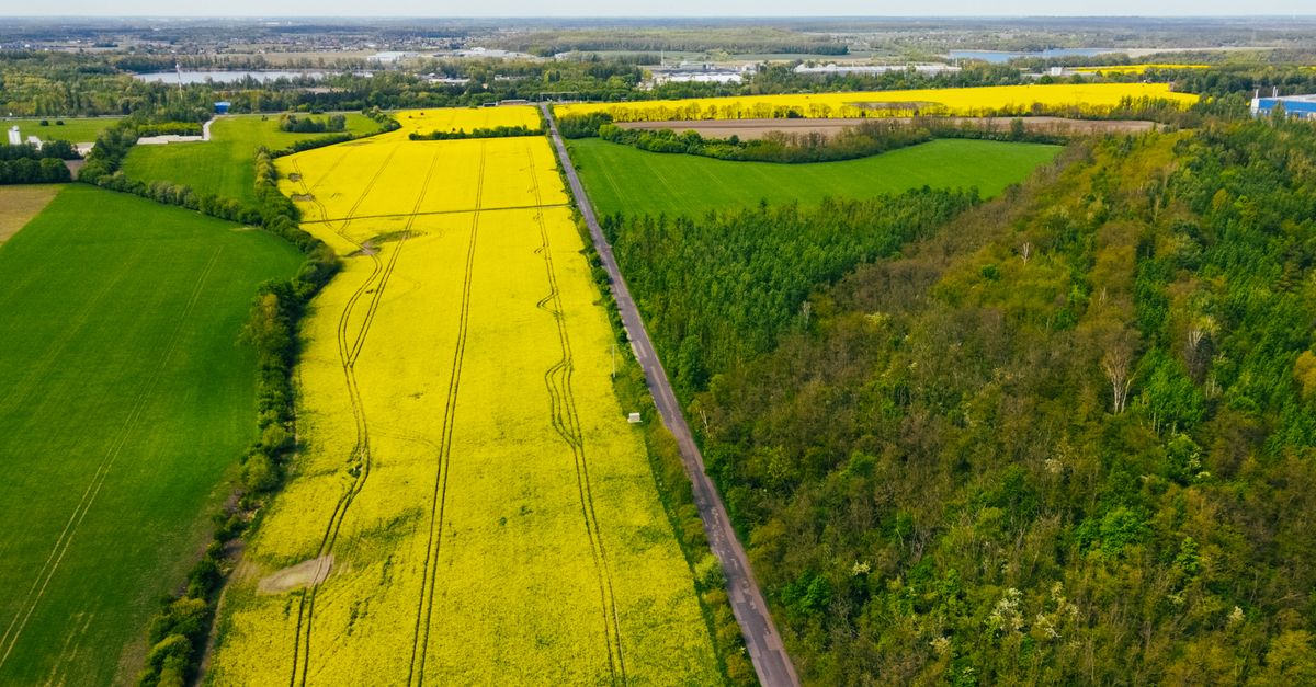 Jak znaleźć najlepsze oferty wyjazdowe na wiosnę?