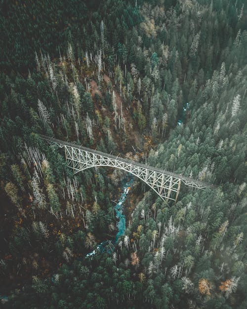 Aerial View of White and Grey Metal Bridge Surrounded by Forest Trees