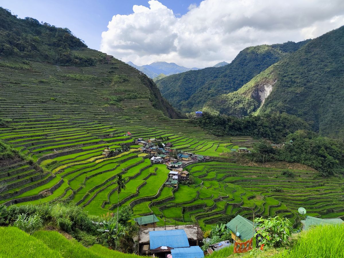 Ifugao festival