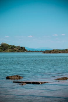 Image by Regina Tommasi