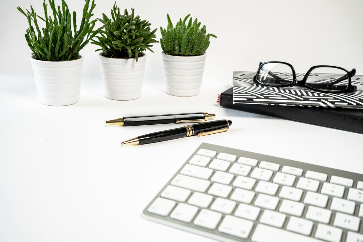 Espace de travail d'une rédactrice et conseillère en phytothérapie, avec plantes et carnet de notes
