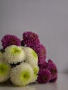 Vibrant Chrysanthemum Bouquet with White and Purple Blooms