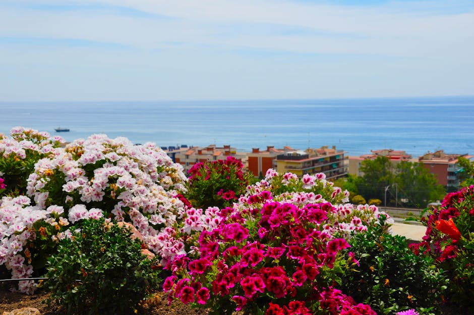 Aesthetic pink flowers bloom on a balcony overlooking the sea