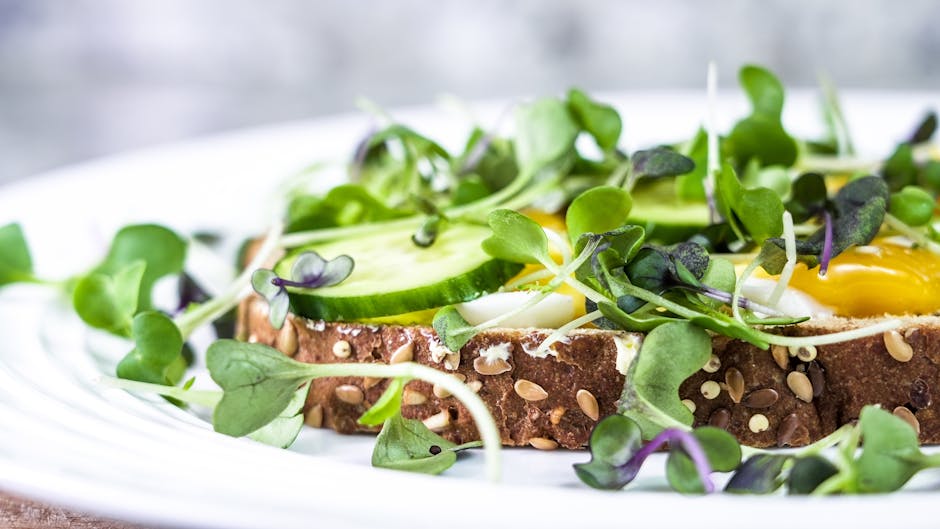 新鮮なマイクログリーンとキュウリをマルチグレインパンに挟んだ美味しいオープンサンドイッチ。