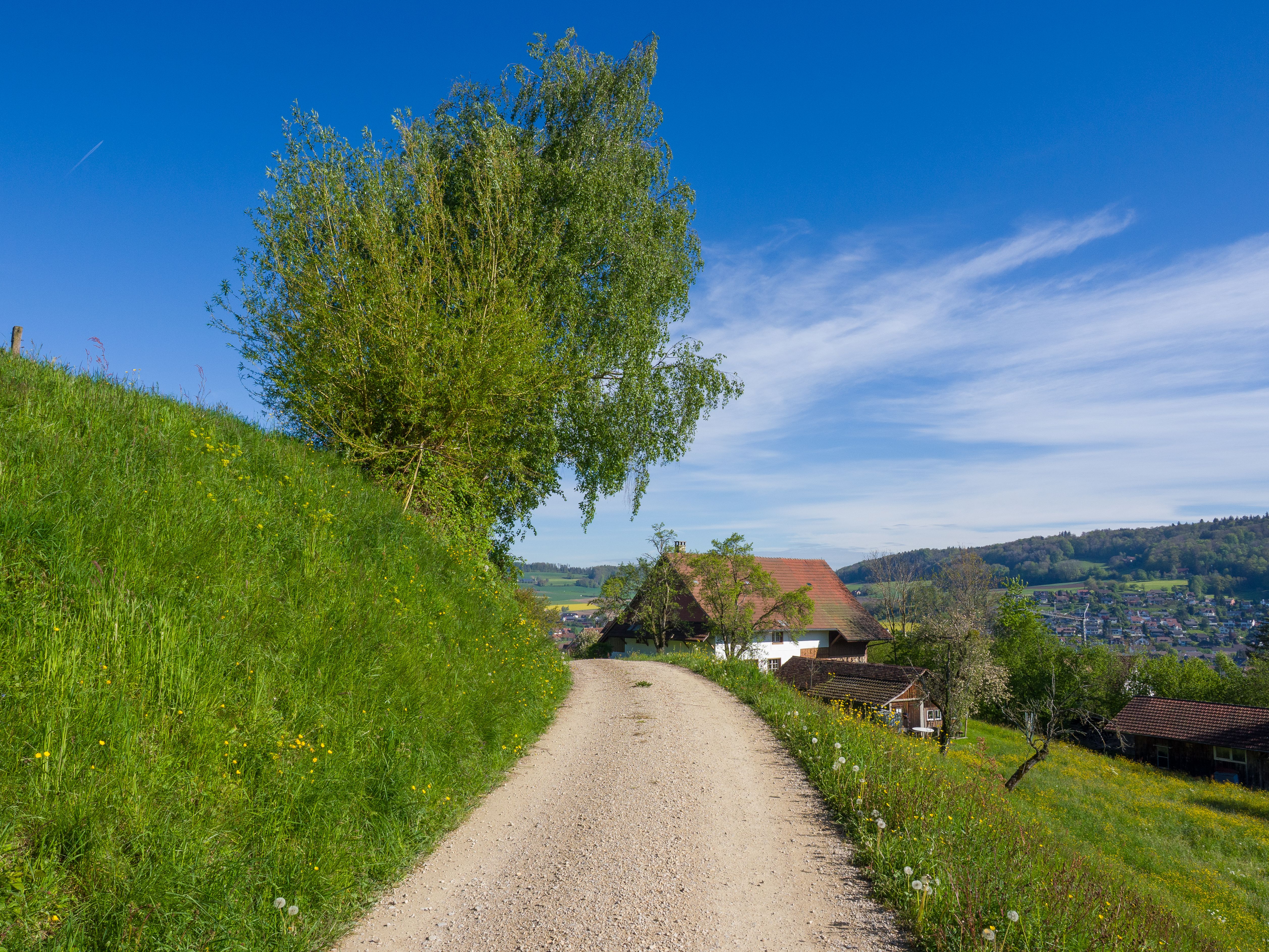 869 Erlenbach-Küsnacht Tobelweg Erlenbach (ZH) - Küsnacht (ZH)