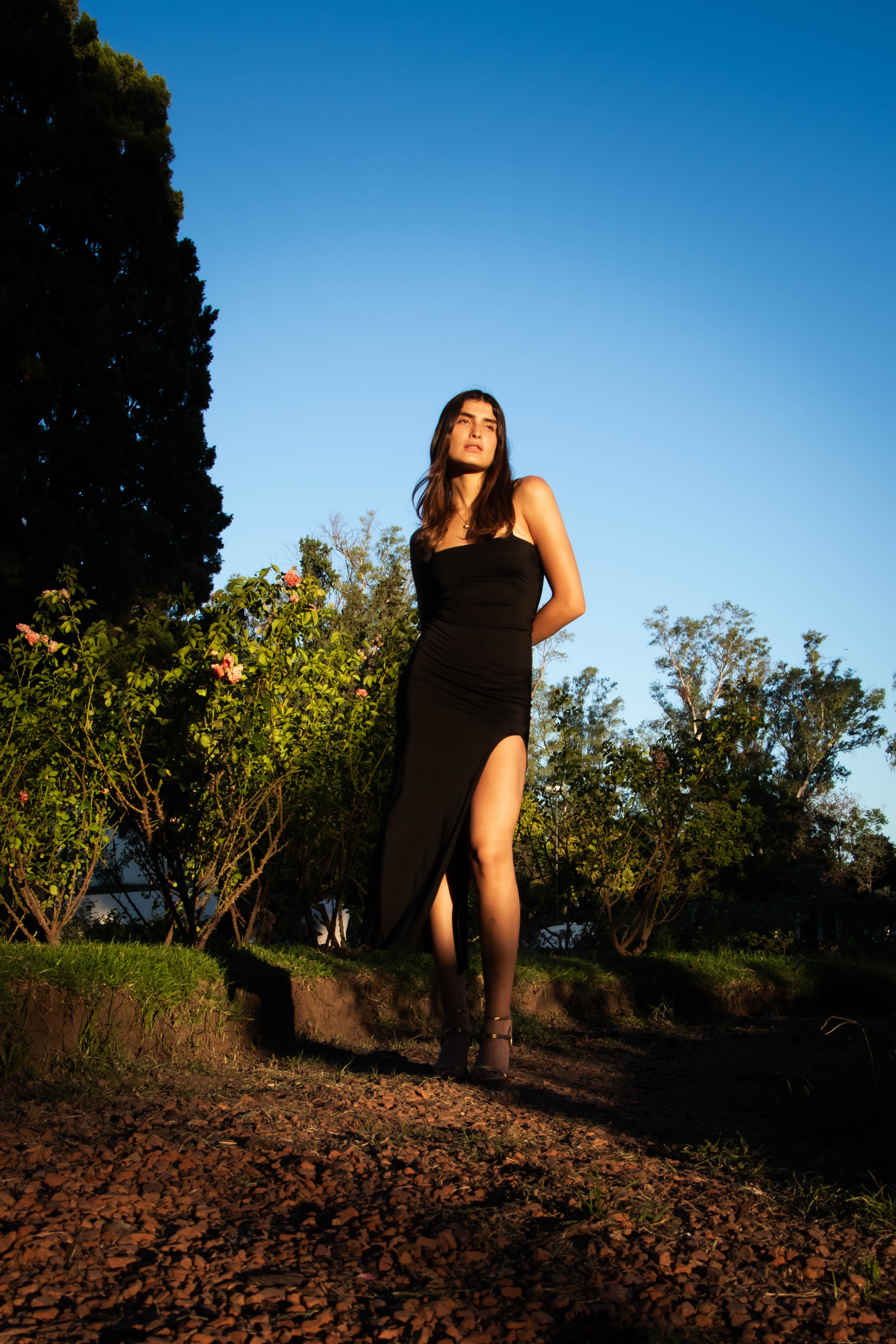 Elegant Woman in Black Dress in Garden Setting · Free Stock Photo