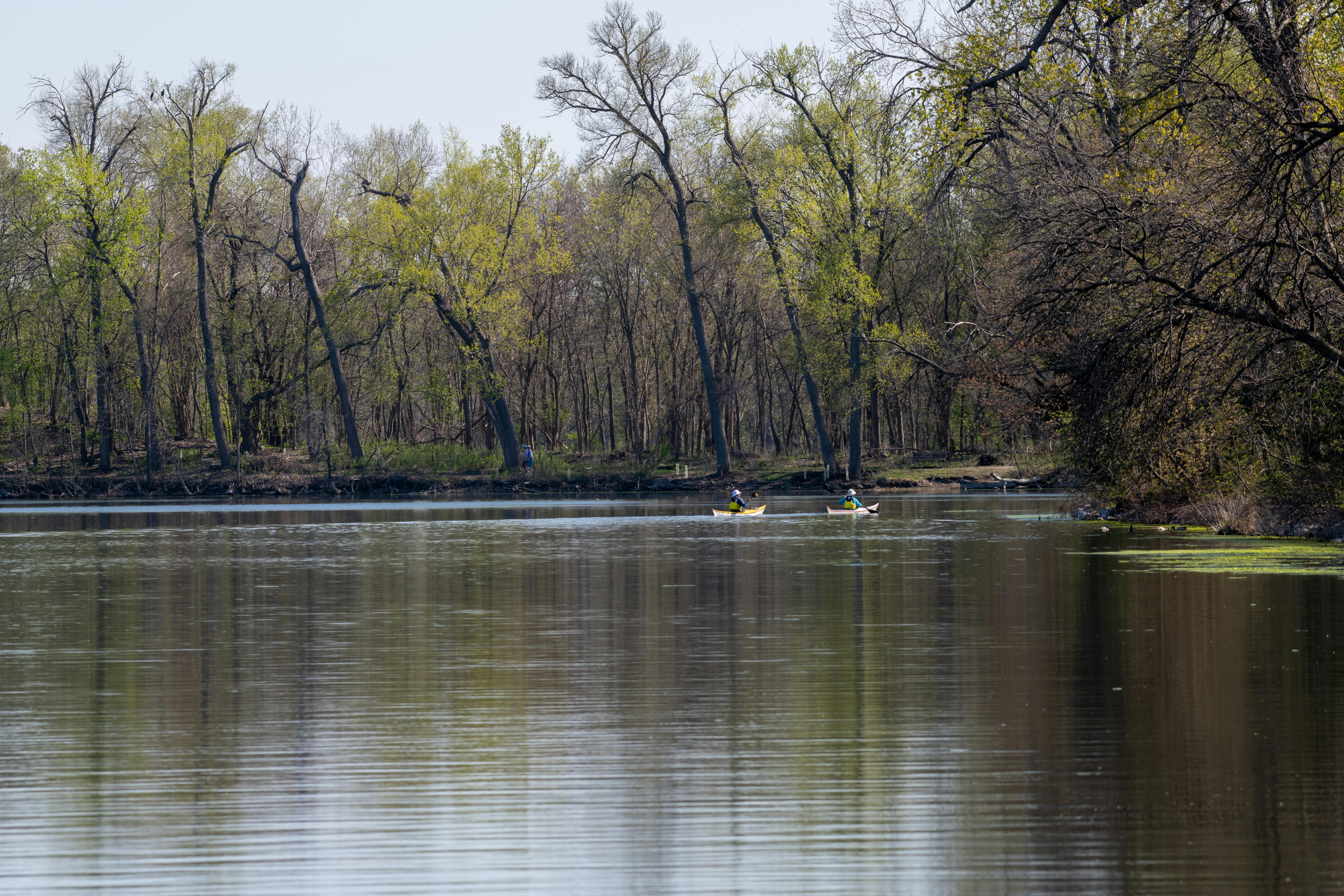 DuPage Forest Preserve executive director leaving for city manager job in Florida — Photo by Andrew Patrick Photo on Pexels