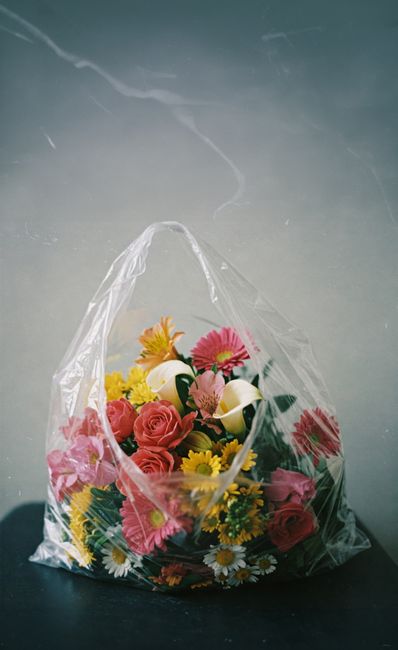 A colorful floral arrangement in a plastic bag against a neutral backdrop. Perfect for creative projects.