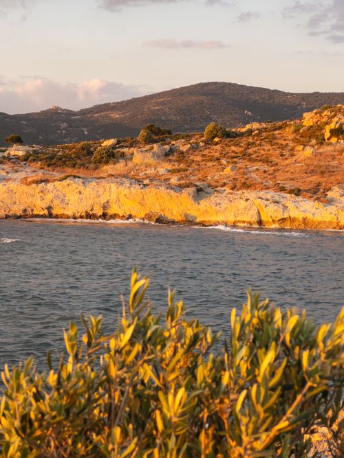 Free Breathtaking view of rugged coastline with golden cliffs and lush foliage at sunset. Stock Photo