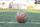 football ground