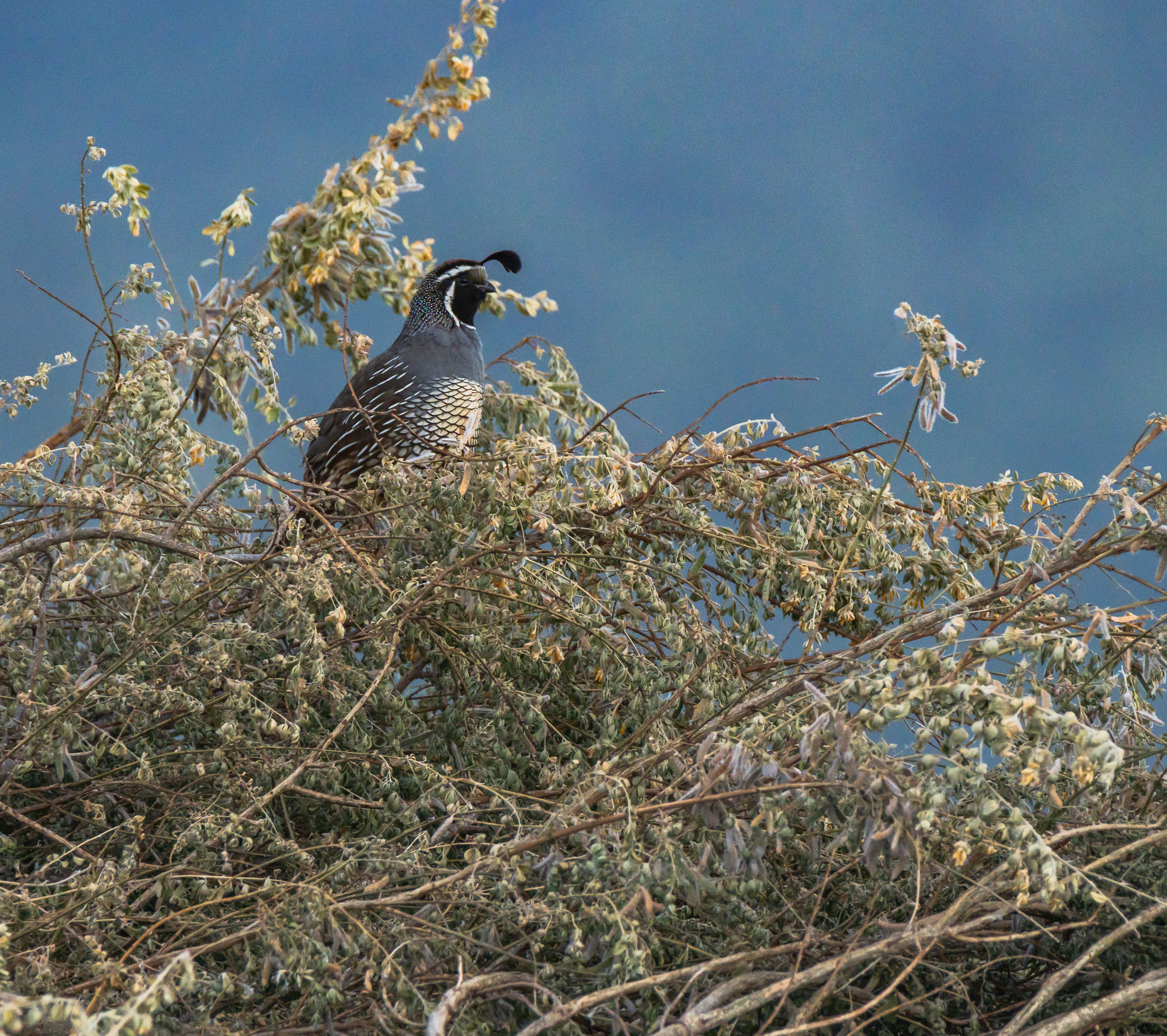 Tours, activities & tickets in Quail Rise
