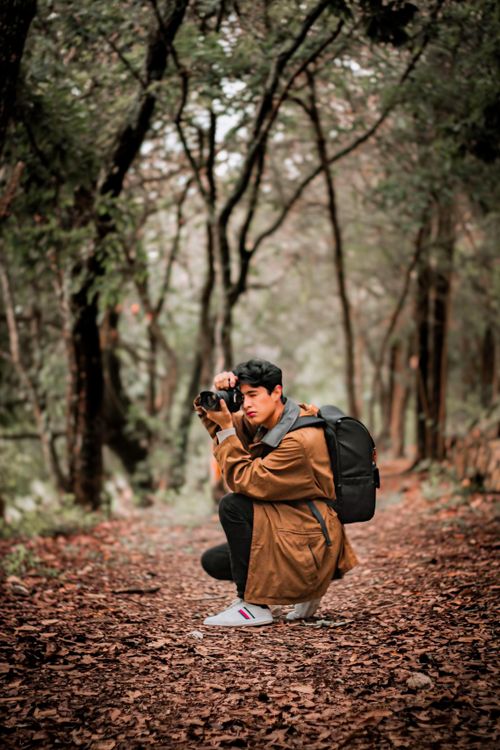 Free A young adult male photographer captures nature in an autumn forest setting. Stock Photo