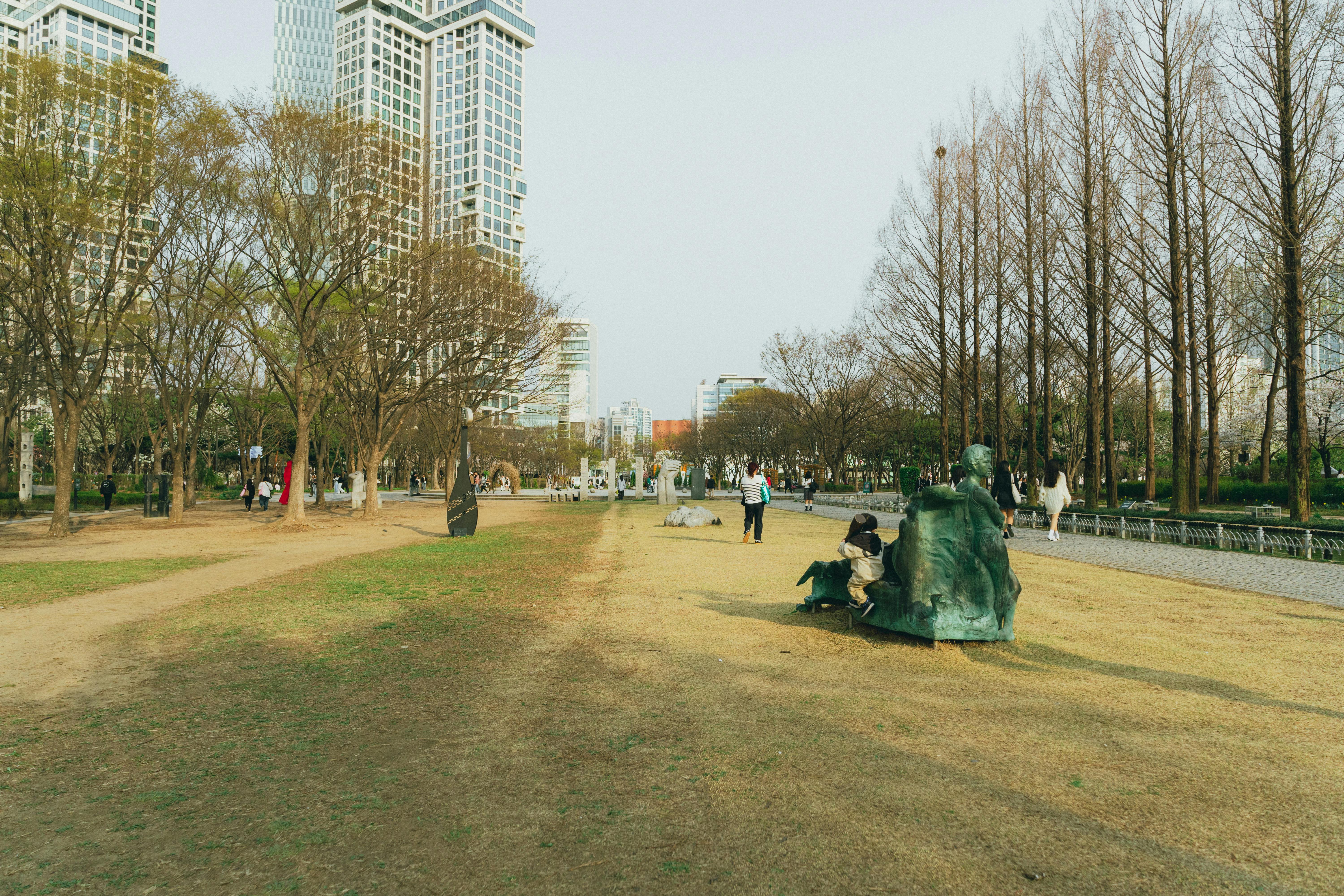 Deer area at Seoul Forest park with visitors and autumn foliage in afternoon light