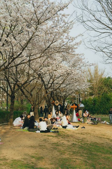 Danau Cantik untuk Piknik di Korea Danau Cantik untuk Piknik di Korea