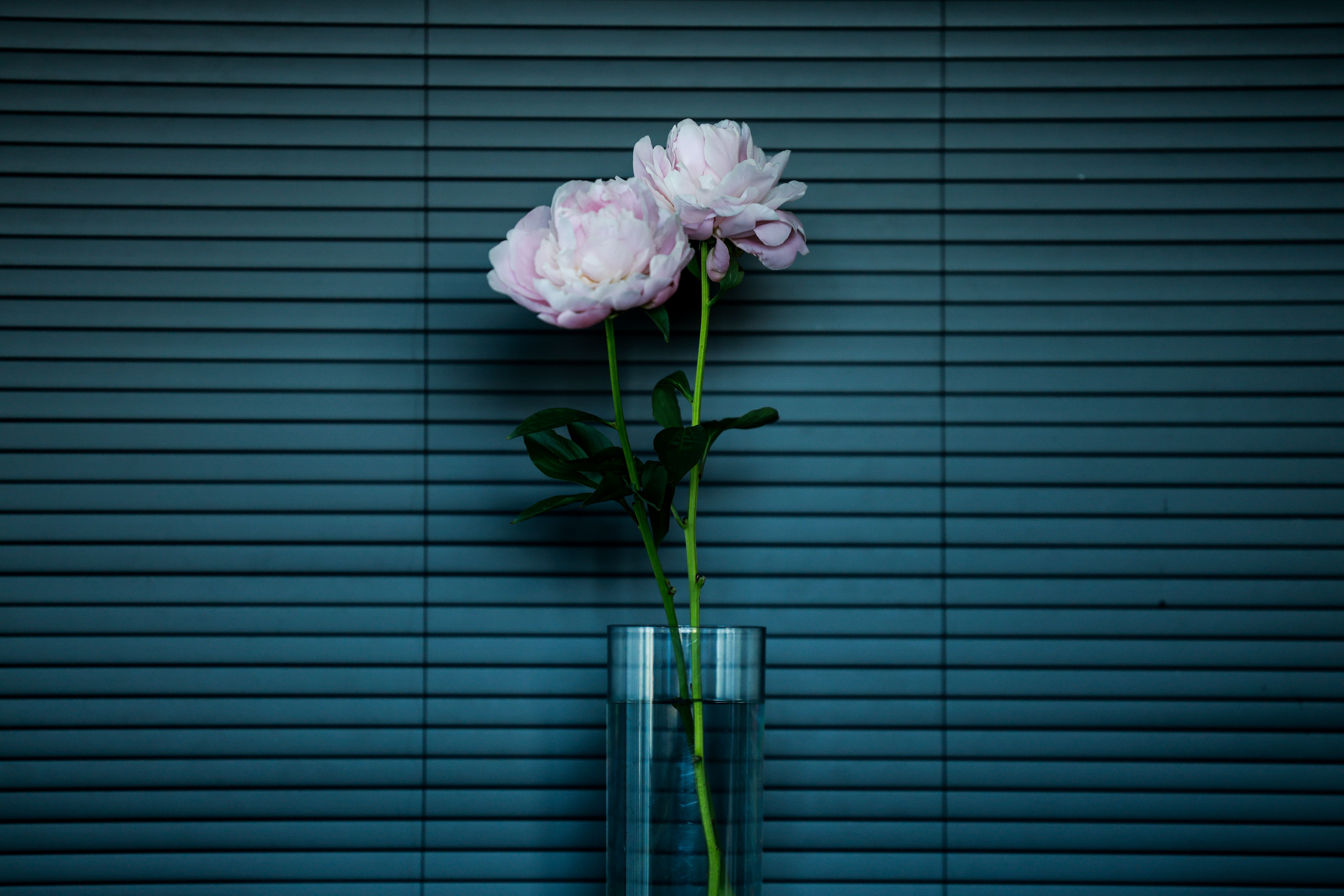 Arrangement floral minimaliste