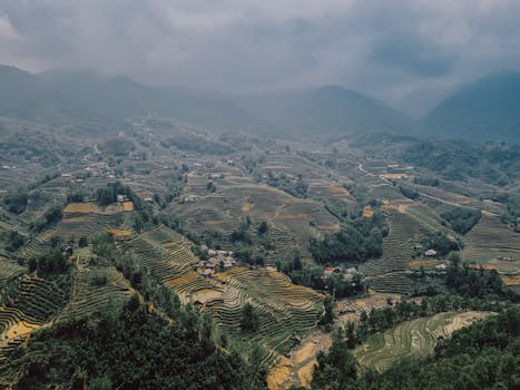 Stunning aerial view of terraced rice fields in Vietnam, showcasing natural beauty and agricultural creativity.