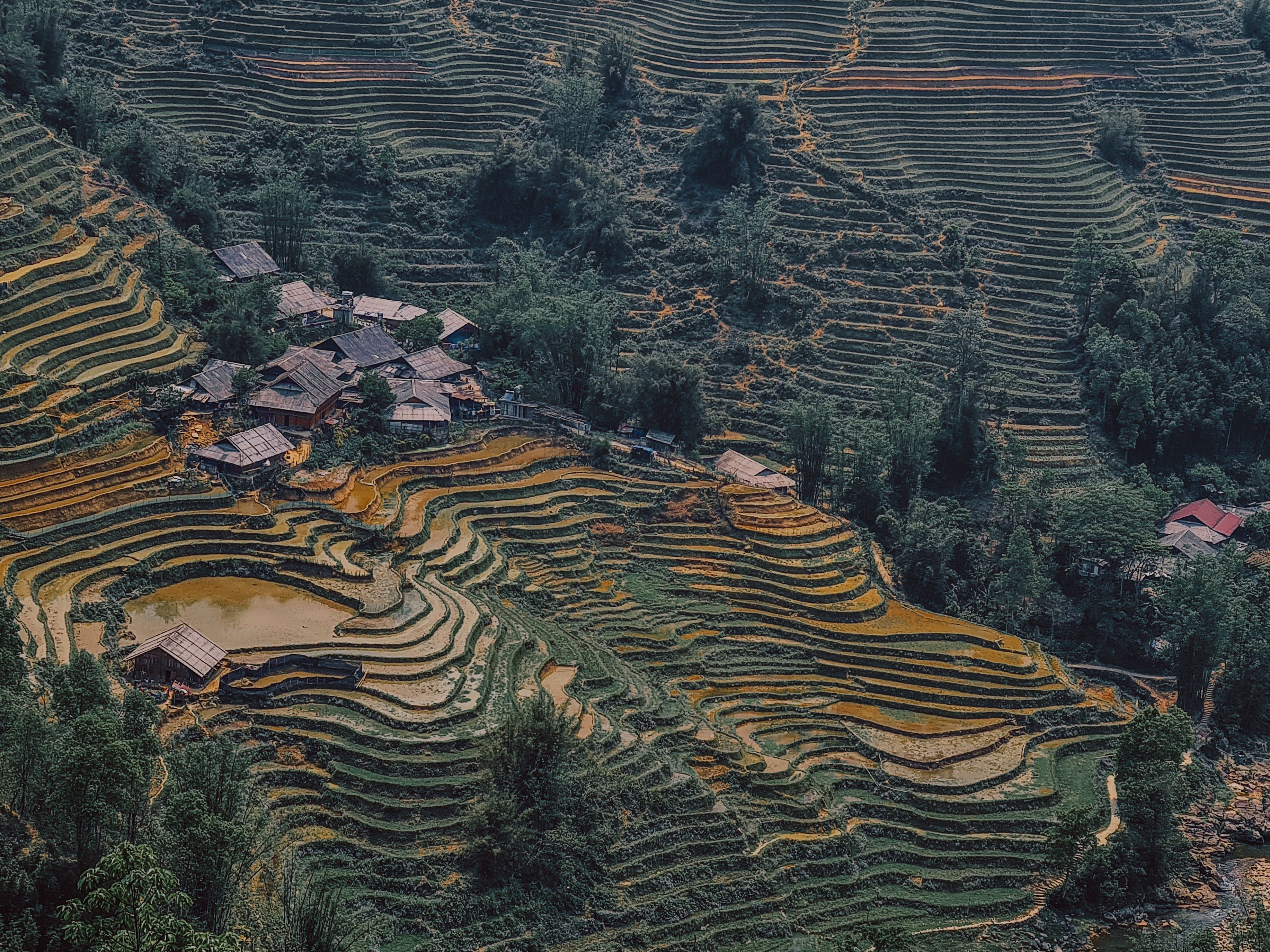 Aerial View of Vietnamese Rice Terraces · Free Stock Photo