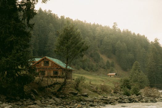 Rustic cabin nestled in a serene forest landscape with lush greenery and flowing river.