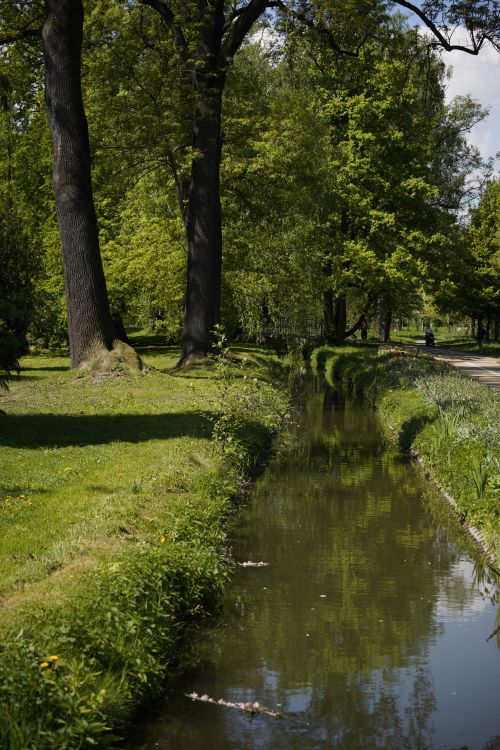 Free Tranquil canal scene in Prostějov, Cechia, surrounded by lush greenery and tall trees. Stock Photo