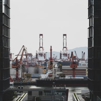 Shipping cranes over the seaport