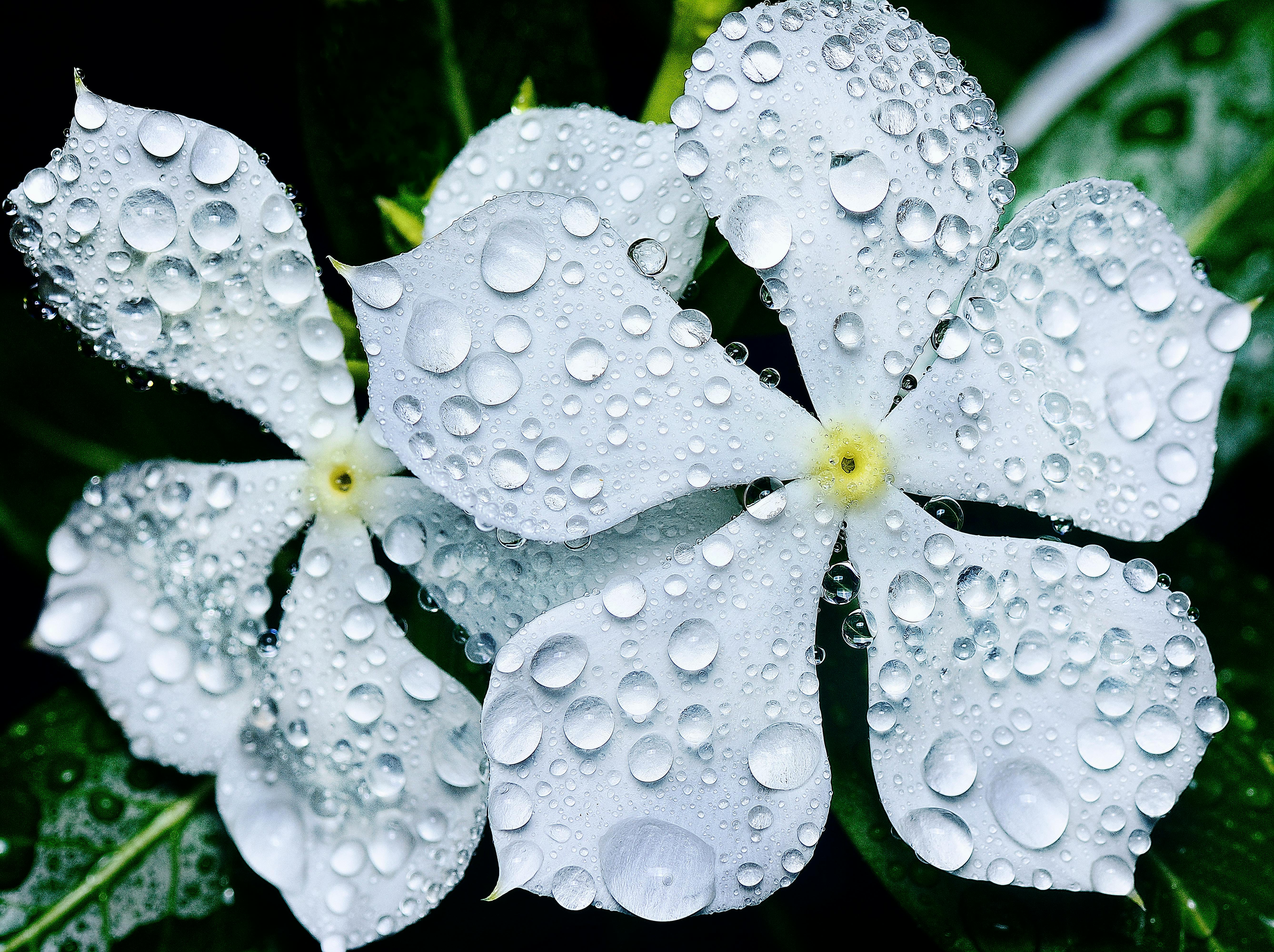 Biege Color Photos, Download The BEST Free Biege Color Stock Photos ...