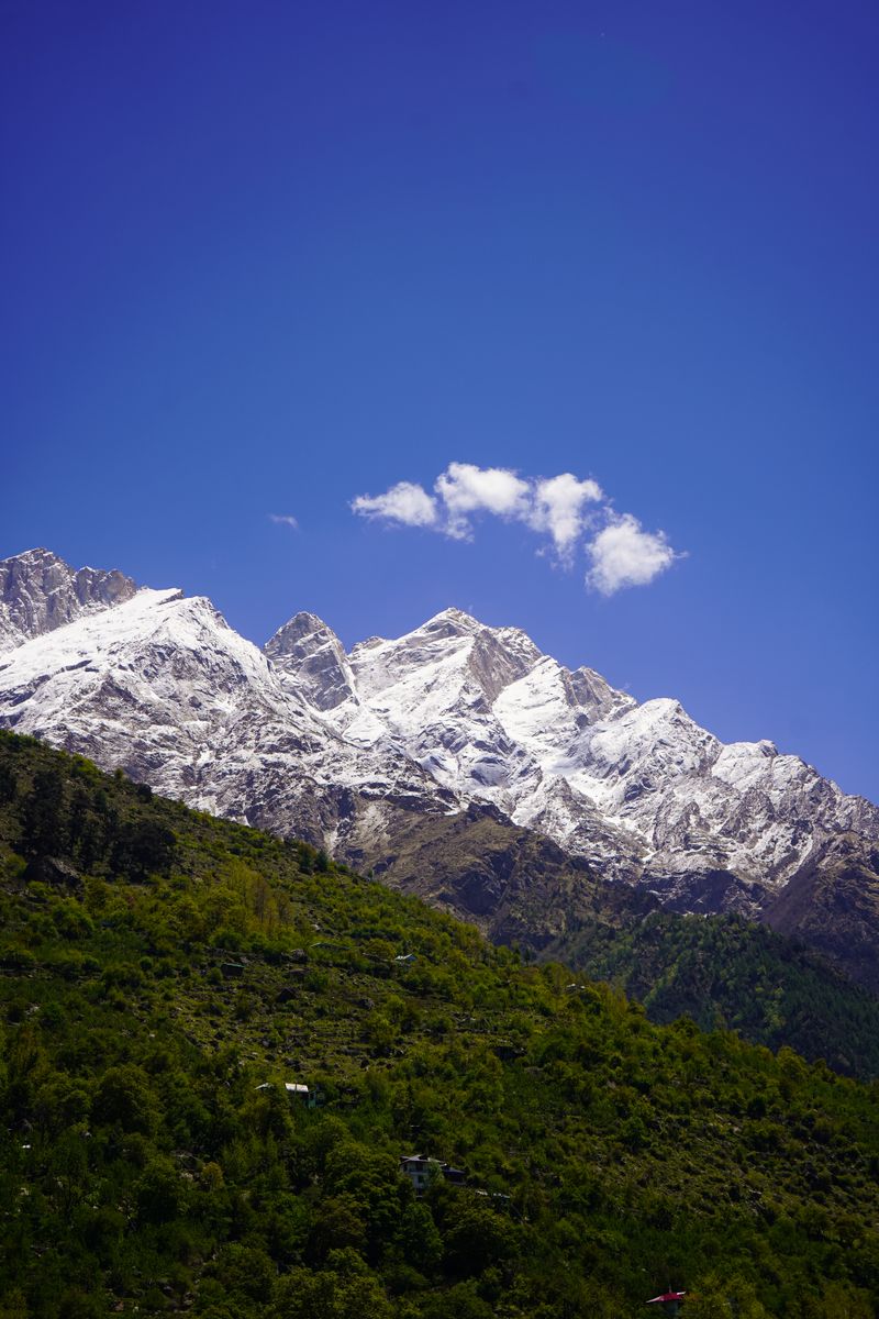 Stunning view of snow-capped Himalayas with clear blue sky, captured in vibrant springtime.