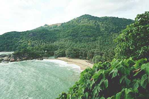 A picturesque tropical beach surrounded by lush green hills in Koh Phangan, Thailand.