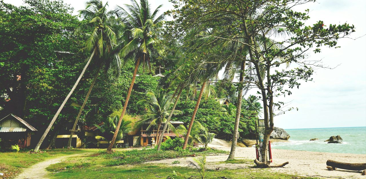 Ko Pha Ngan