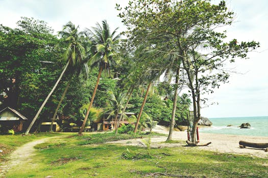 Scenic tropical beach with palm trees and villas in Ko Pha-ngan, Thailand.