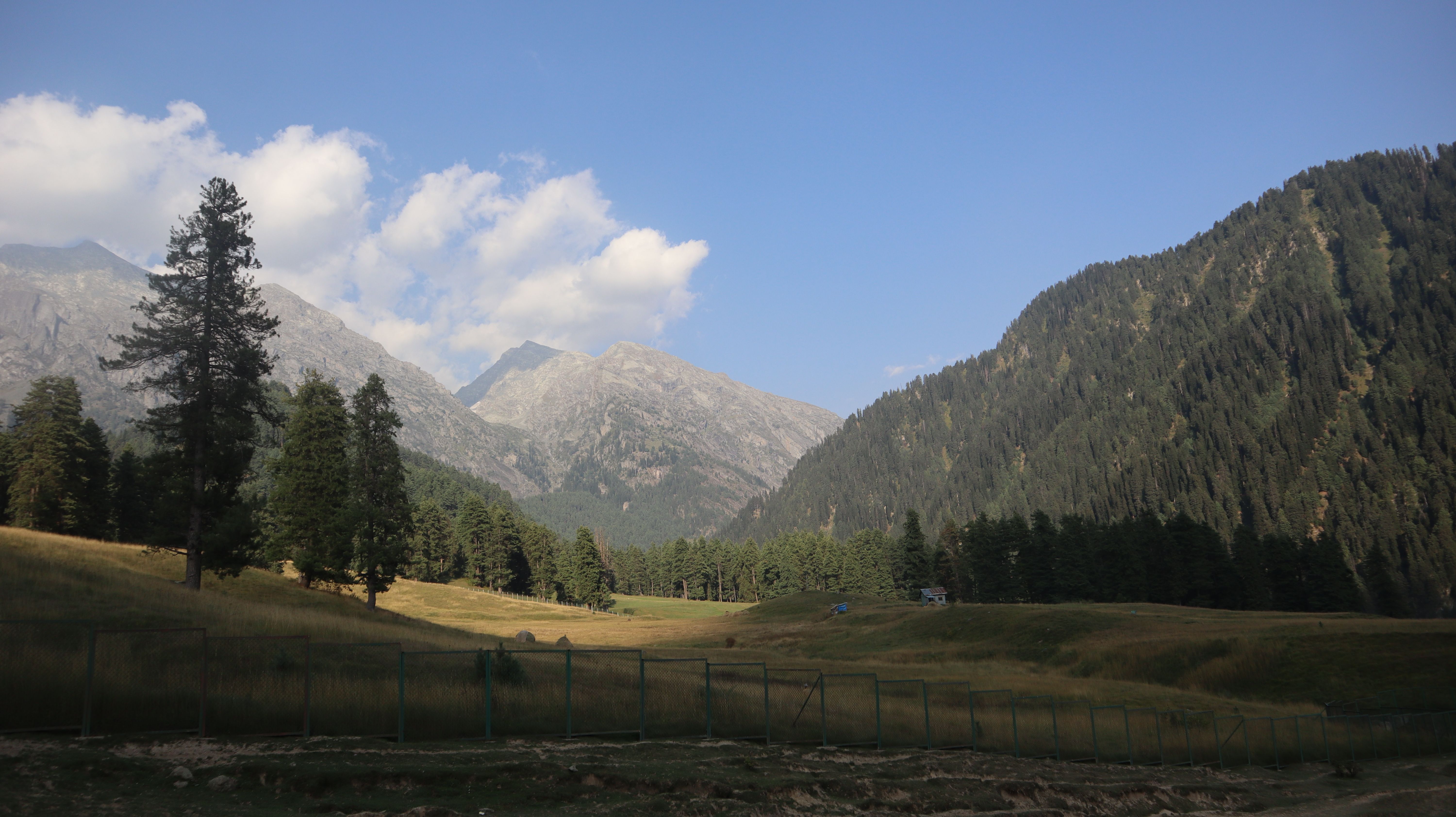 Scenic Mountain Landscape with Lush Forests · Free Stock Photo