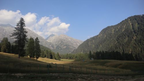 Free Beautiful mountain landscape with lush forests and clear blue sky, perfect for nature lovers. Stock Photo